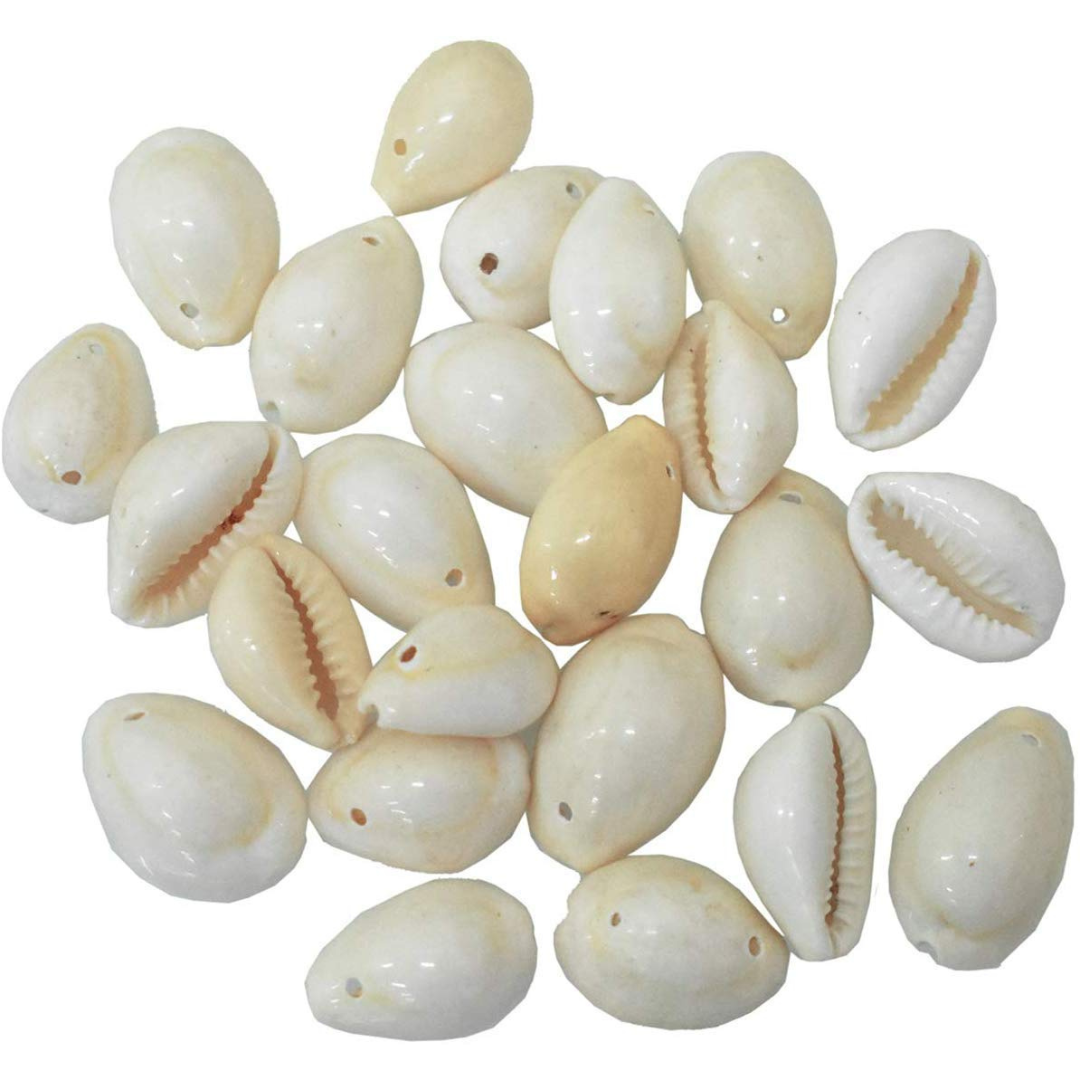 Cowrie Shell Pack (Single Drilled)