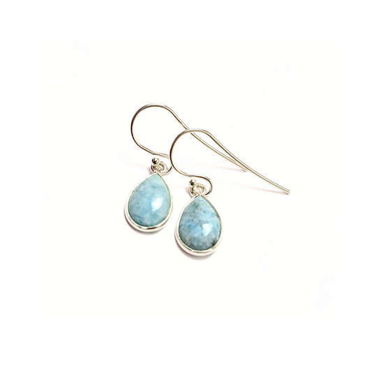 Larimar Earrings |Silver