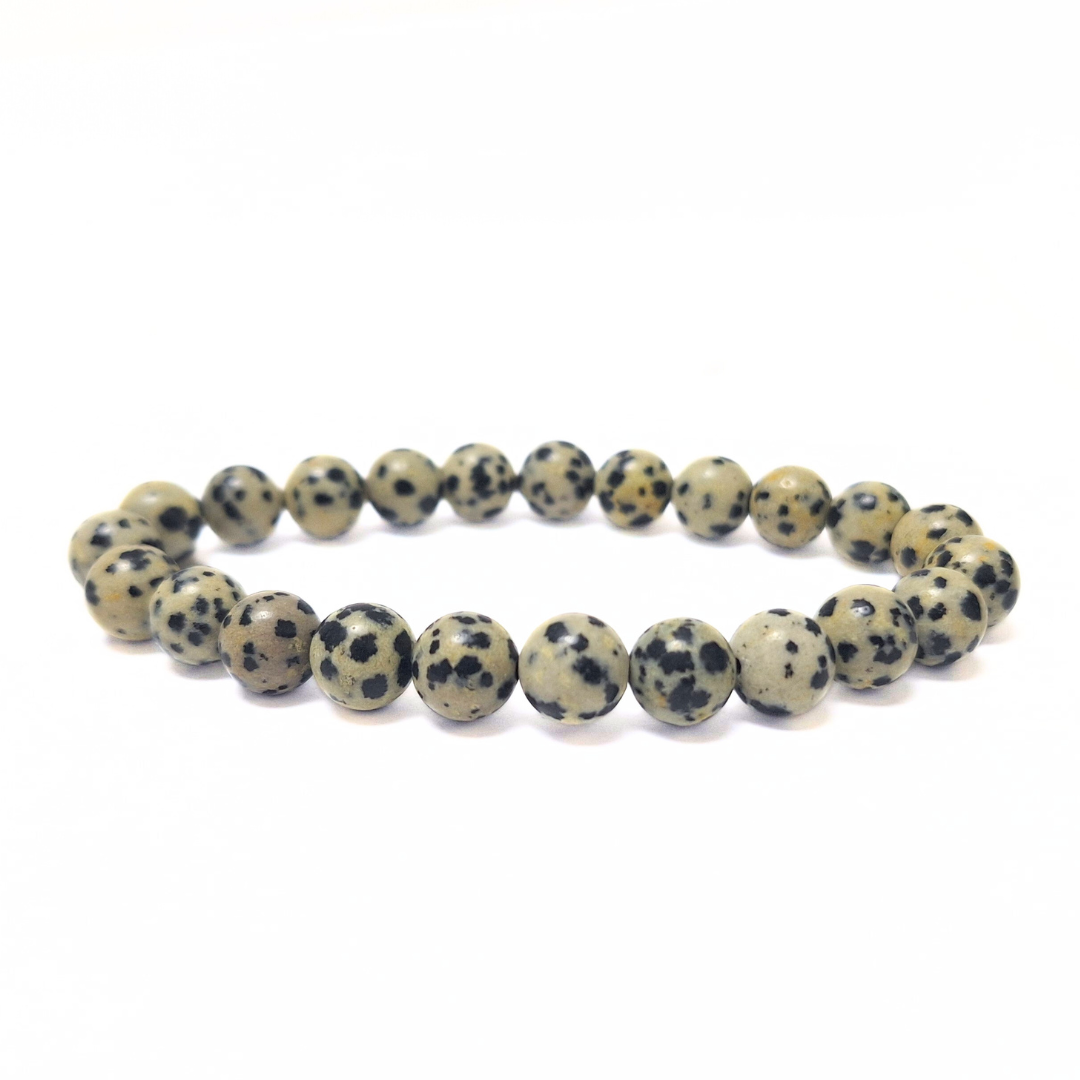 Dalmatian Jasper Bracelet