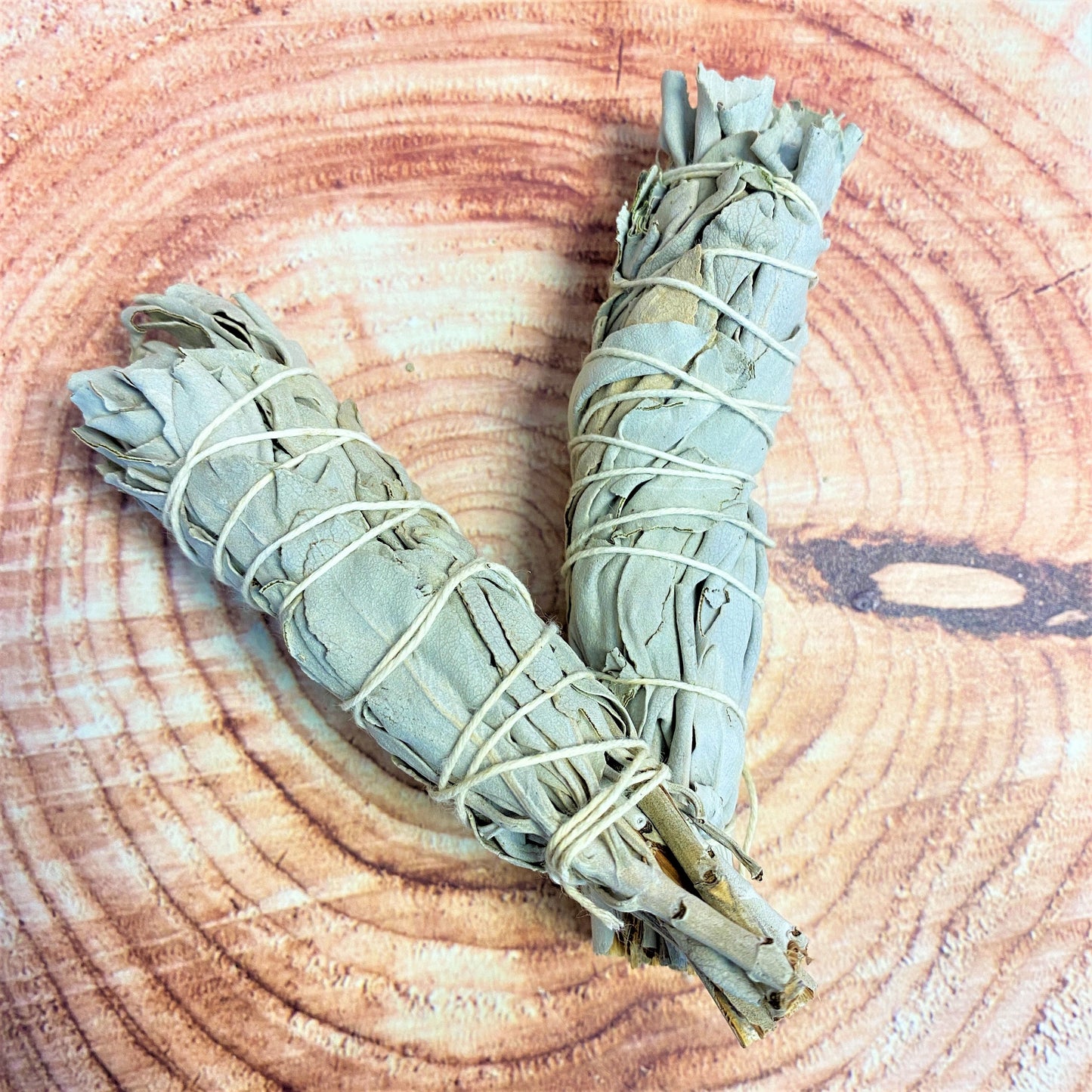 Californian White Sage 10cm Smudge Stick