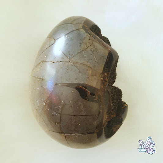 Septarian Dragons Egg 1,1kg