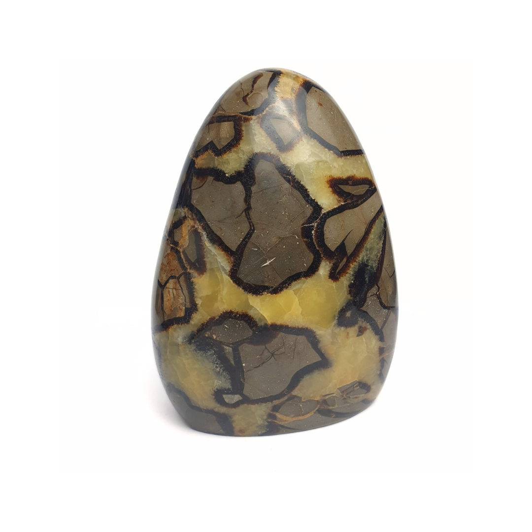 Septarian Freeform 1586g