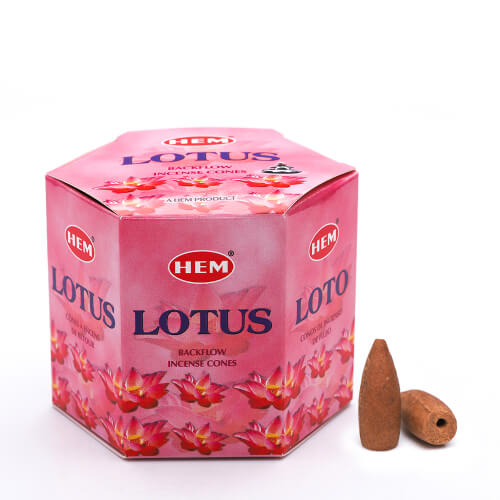 HEM Lotus Backflow Cones (40)