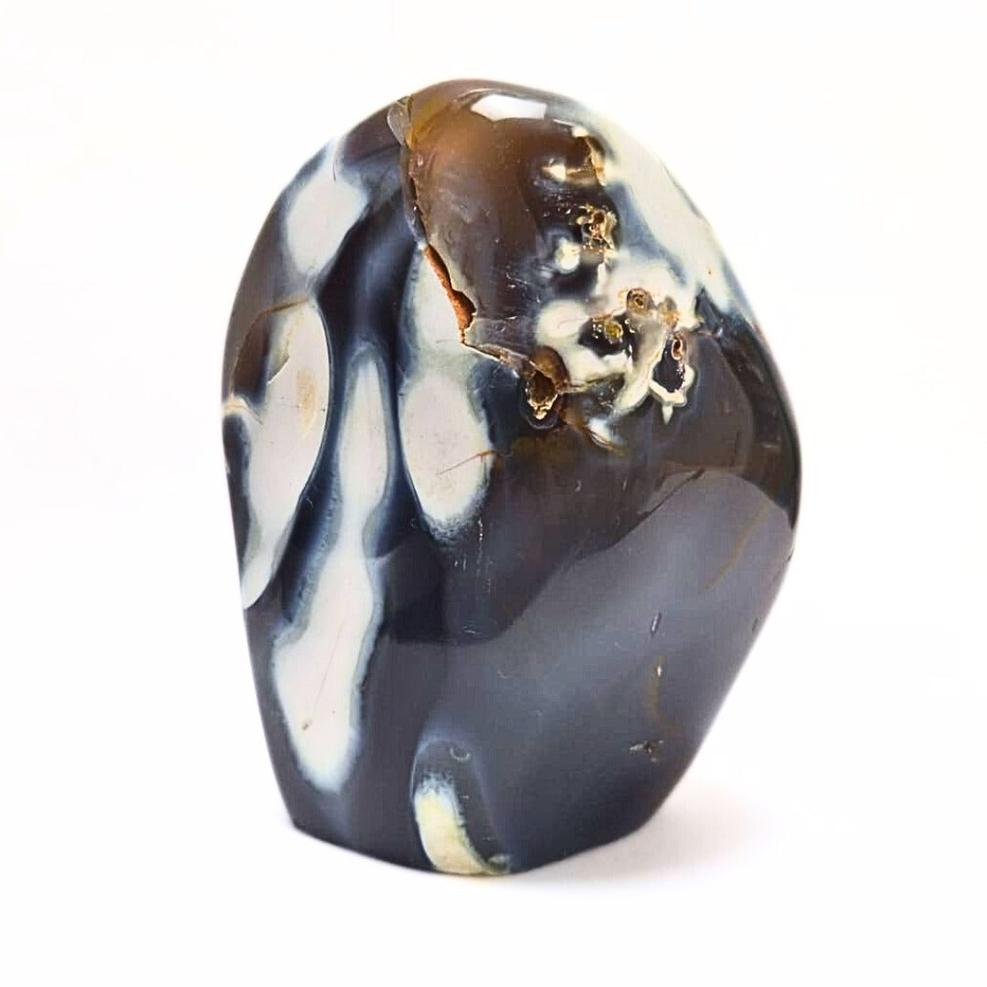 Dendrite and Snow Agate Standing Free Form 953g