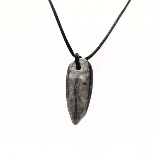 Orthoceras Drilled Pendant