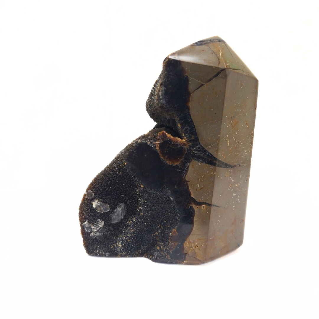 Septarian Dragon Point 699g