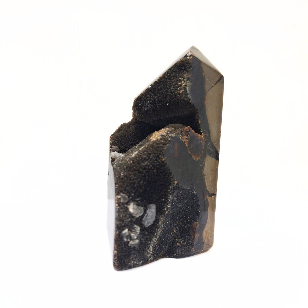 Septarian Dragon Point 699g