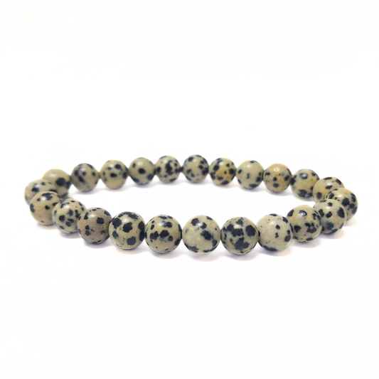 Dalmatian Jasper Bracelet