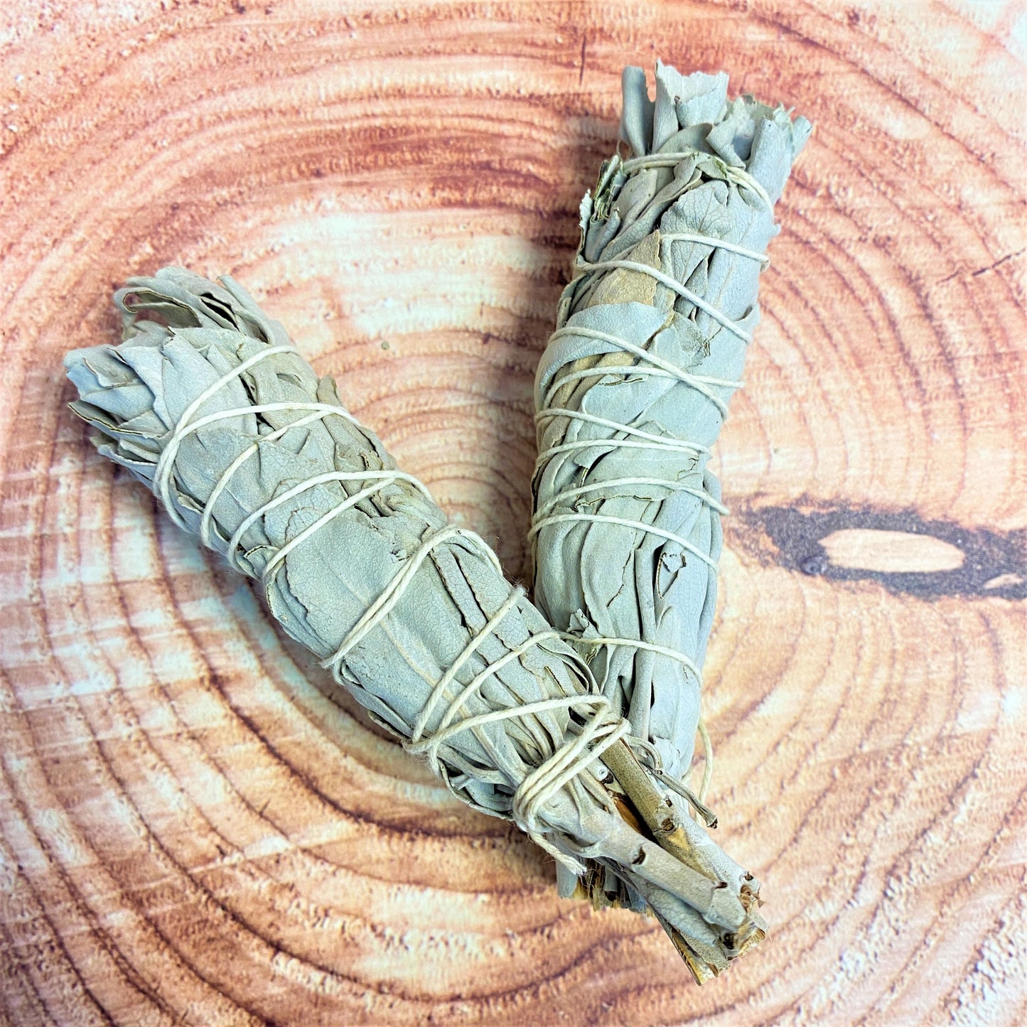 White Sage Smudge 10cm