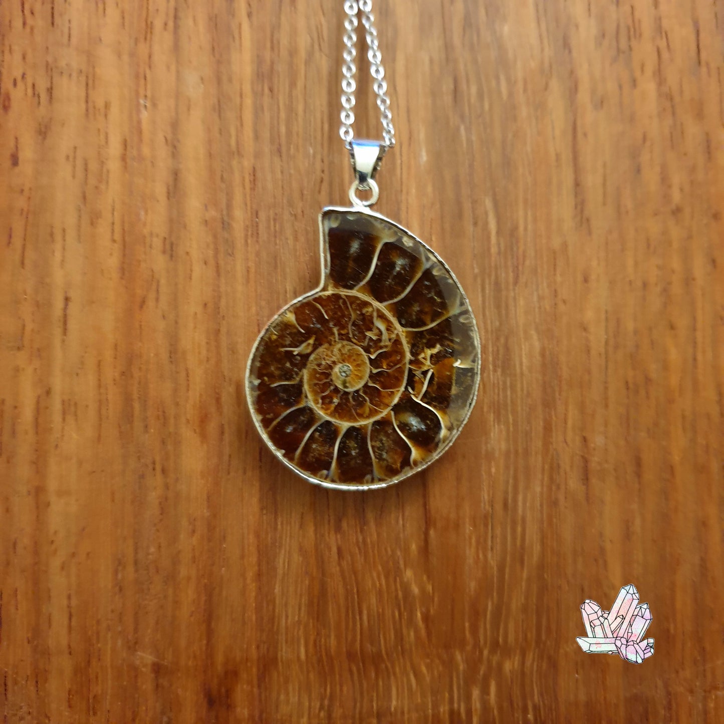 Ammonite Pendant