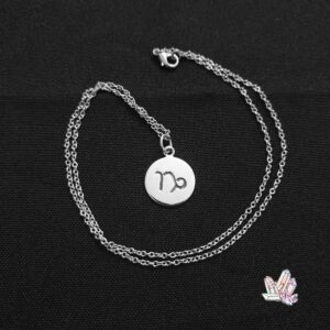 Capricorn Necklace (silver)