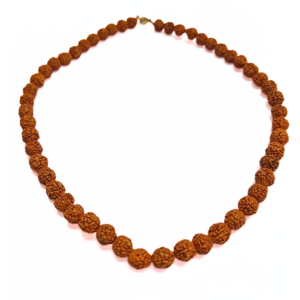 Rudraksha Necklace