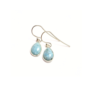 Larimar Earrings |Silver
